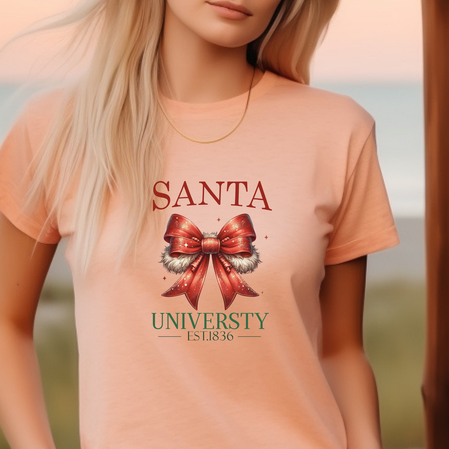 DTF Shirt Transfer - Ready to Press - Santa University - DTF100210