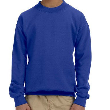 Youth Custom Sweater, Hoodie or Tee: Choose any DTF design