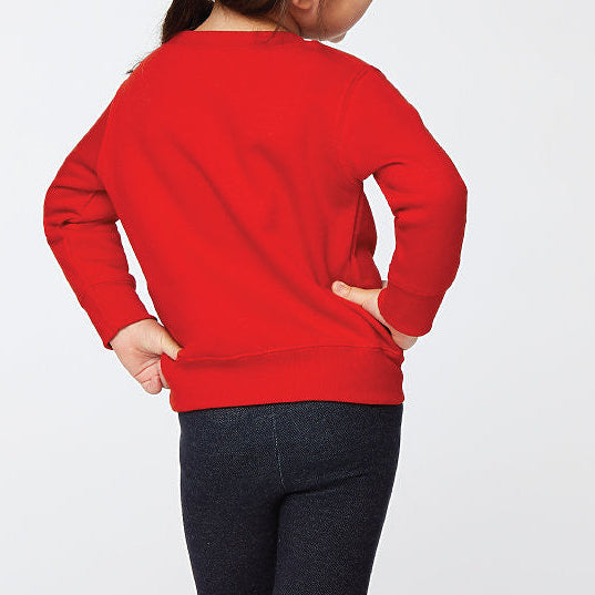 Toddler Custom Sweater or Tee: Choose any DTF design