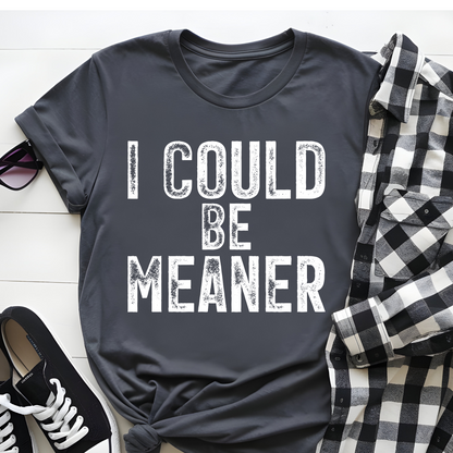 DTF T-Shirt Transfer | Ready to Press | DIY Heat Transfer for Clothing, Hoodies, Sweatshirt | I could be meaner DTF100822