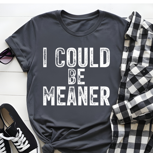 DTF T-Shirt Transfer | Ready to Press | DIY Heat Transfer for Clothing, Hoodies, Sweatshirt | I could be meaner DTF100822