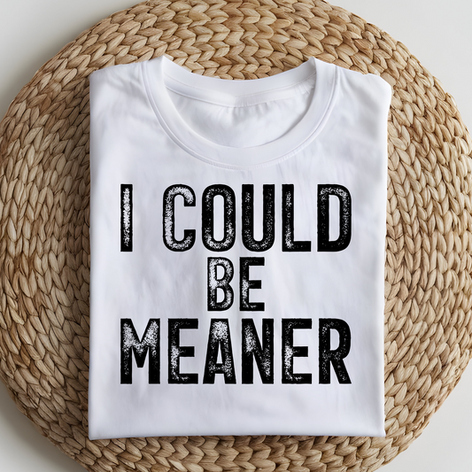 DTF T-Shirt Transfer | Ready to Press | DIY Heat Transfer for Clothing, Hoodies, Sweatshirt | I could be meaner DTF100821