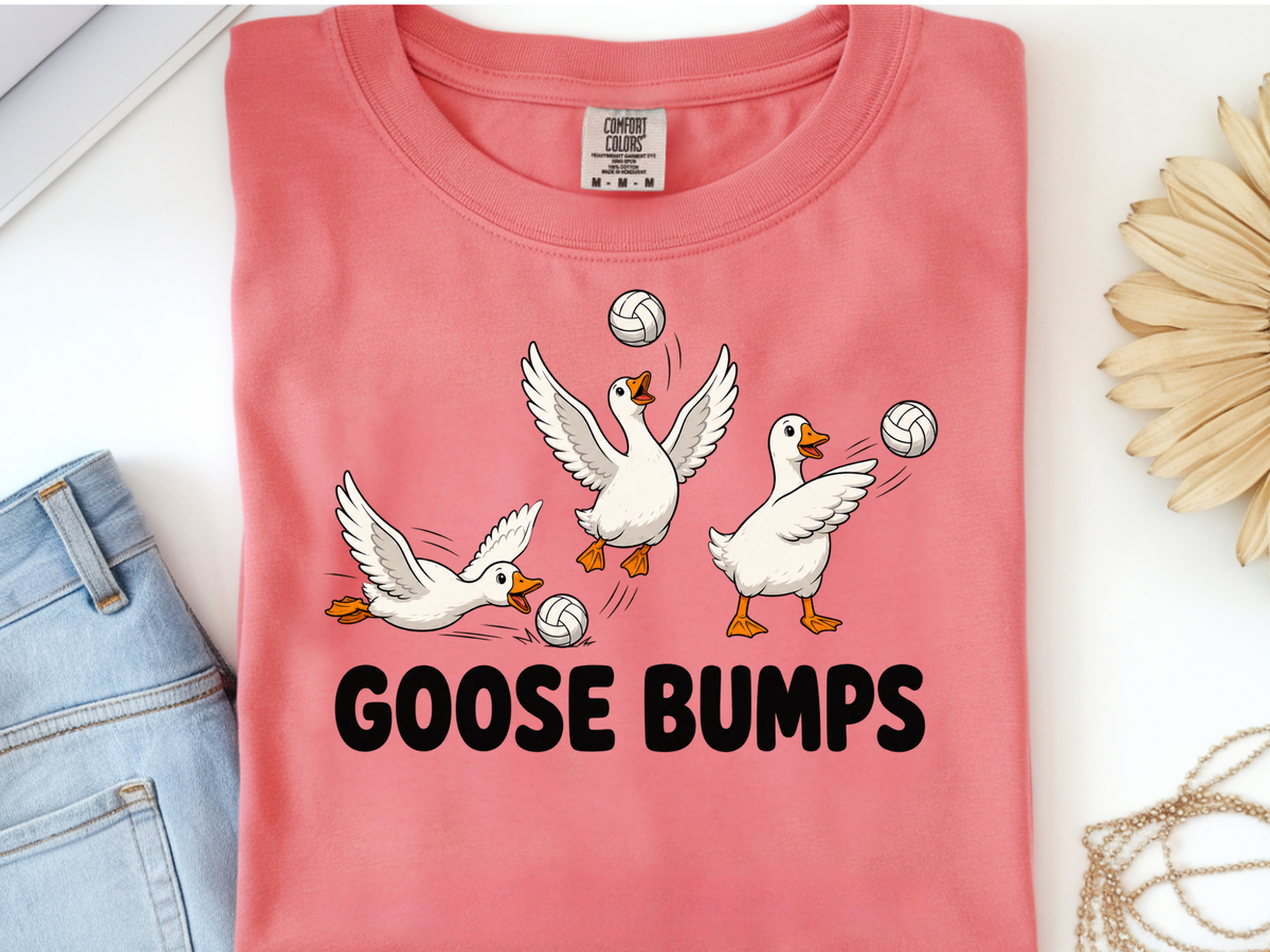 Goosebumps volleyball -  DTF101905- DTF T-Shirt Transfer | Ready to Press | DIY Heat Transfer for Clothing, Hoodies, Sweatshirt