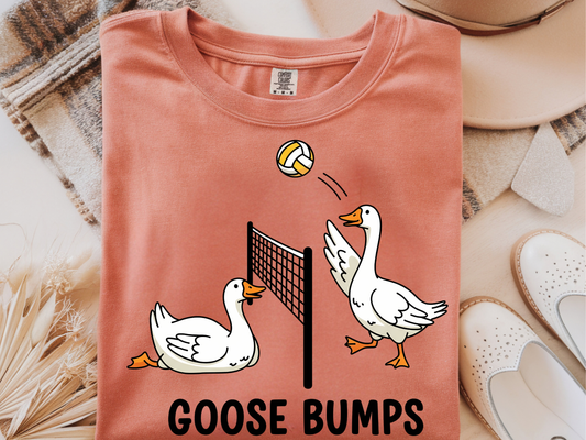 Goosebumps Volleyball -  DTF101906- DTF T-Shirt Transfer | Ready to Press | DIY Heat Transfer for Clothing, Hoodies, Sweatshirt