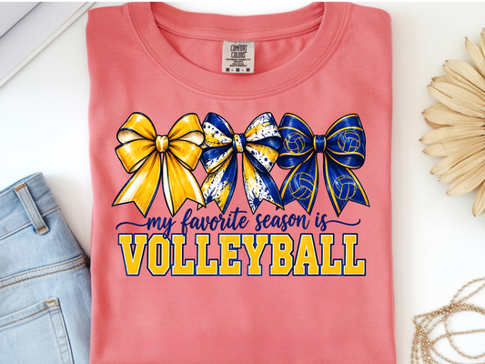 Volleyball -  DTF101905- DTF T-Shirt Transfer | Ready to Press | DIY Heat Transfer for Clothing, Hoodies, Sweatshirt