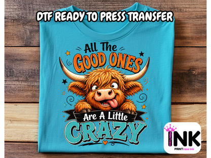 Little crazy -DTF101665- T-Shirt Transfer | Ready to Press | DIY Heat Transfer for Clothing, Hoodies, Sweatshirt