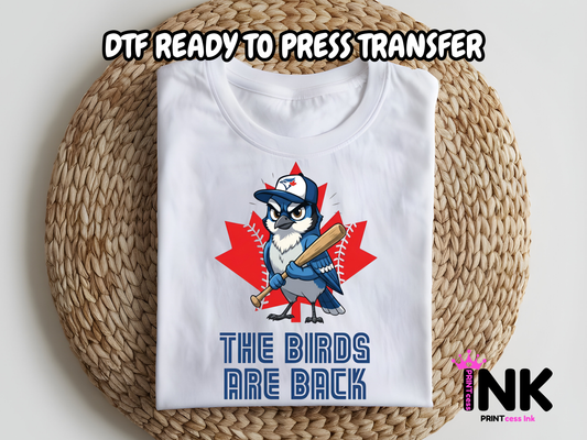 Blue Jays DTF101067| DTF T-Shirt Transfer | Ready to Press | DIY Heat Transfer for Clothing, Hoodies, Sweatshirt